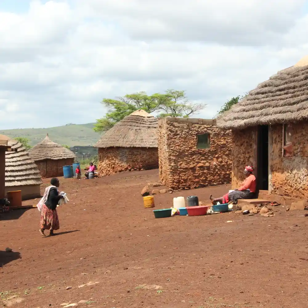 African Village Tour