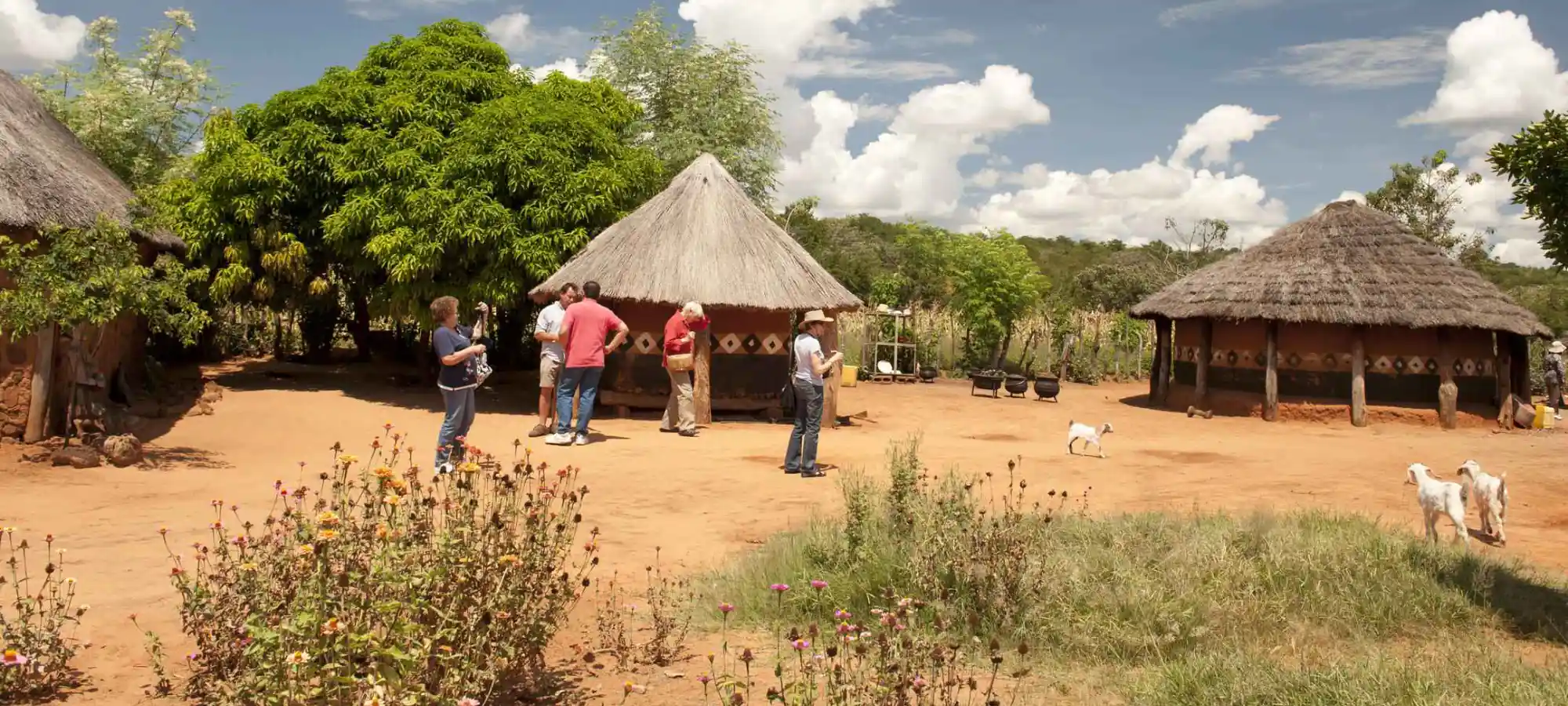 African Village Tour