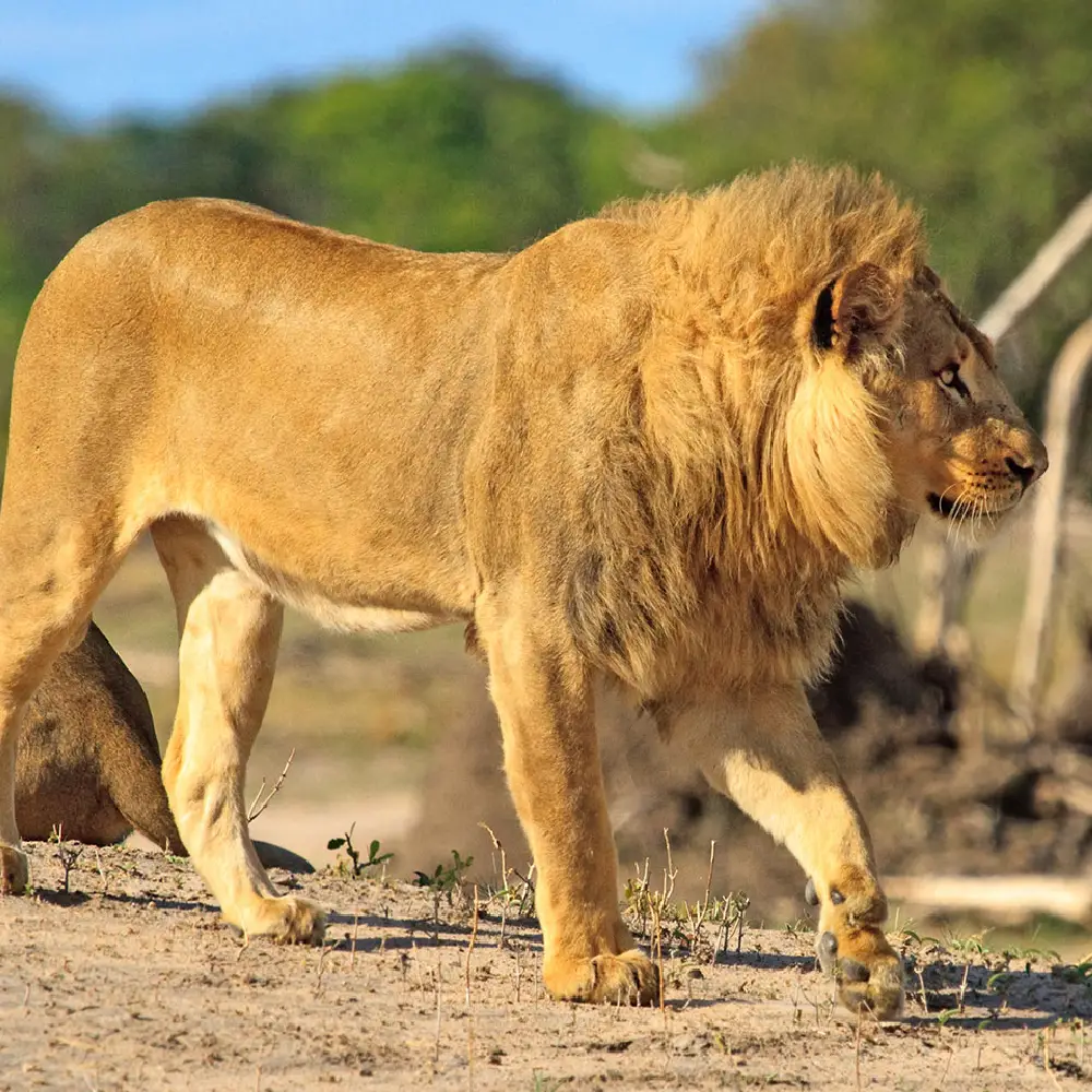Zimbabwe Destinations