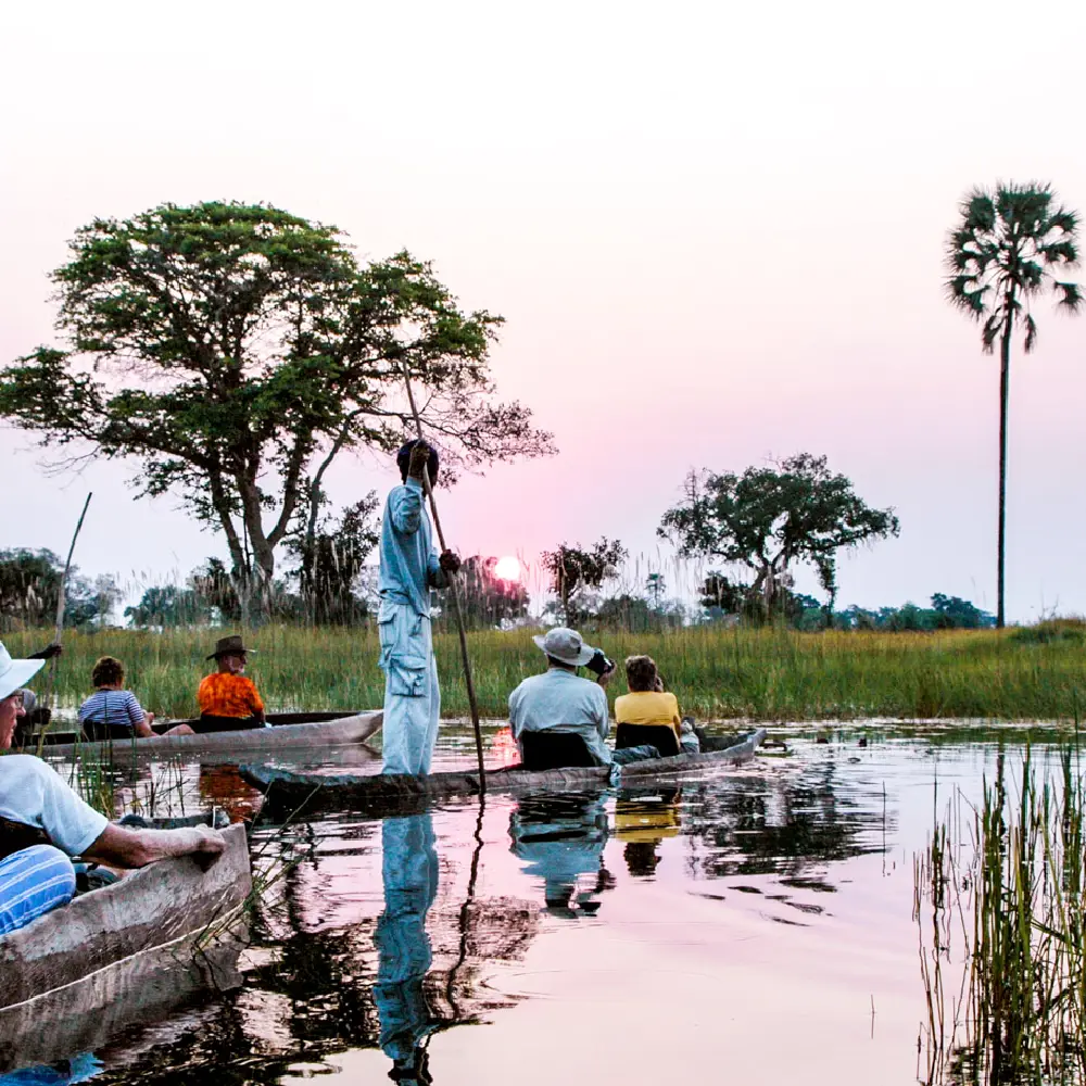 Zimbabwe Safari