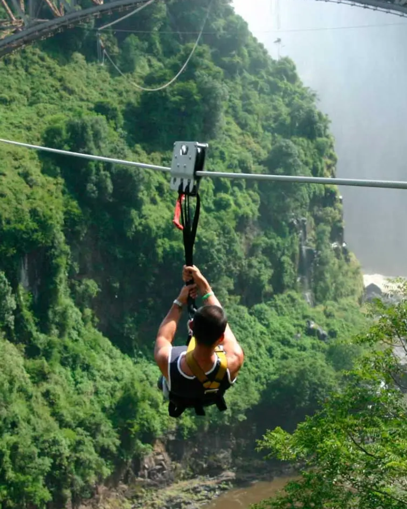 Canopy Tour