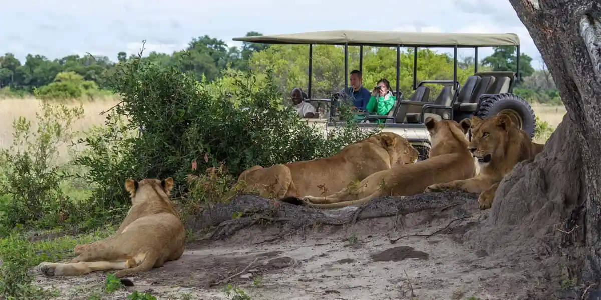 Chobe Full Day Safari