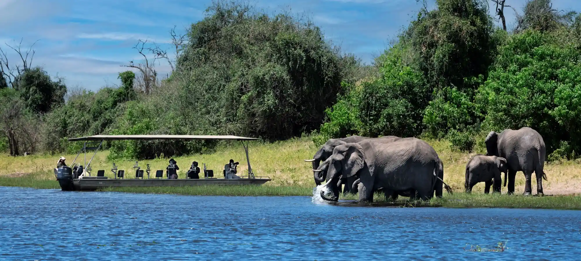Chobe Full Day Safari