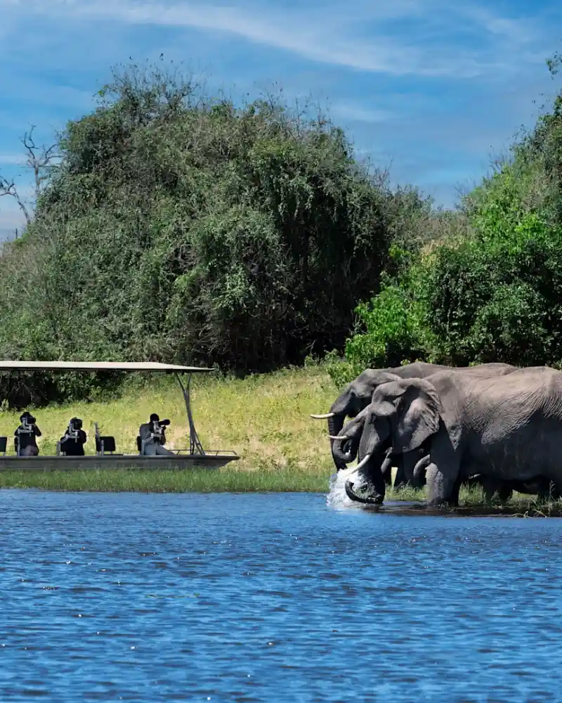 Africa