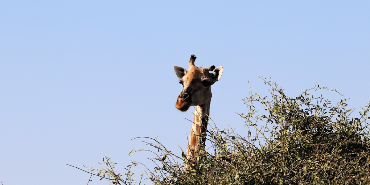 Best Time to visit Johannesburg