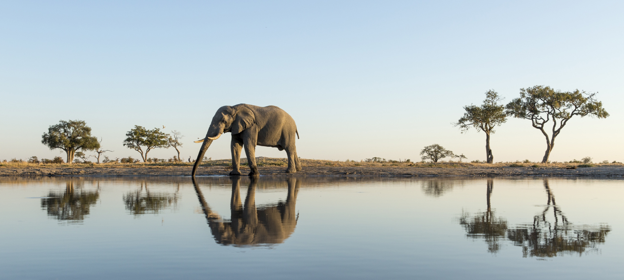 chobe-national-park