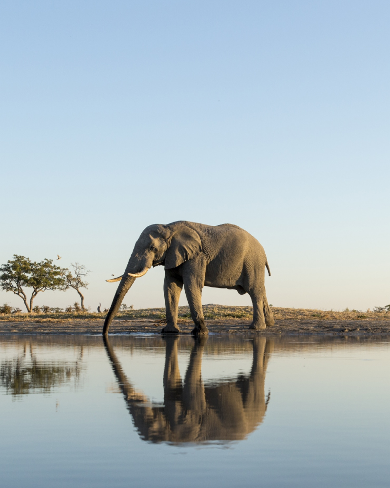 Chobe National Park