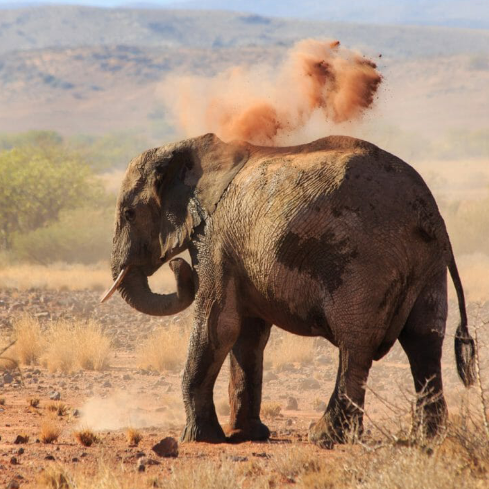 Namibia Destinations