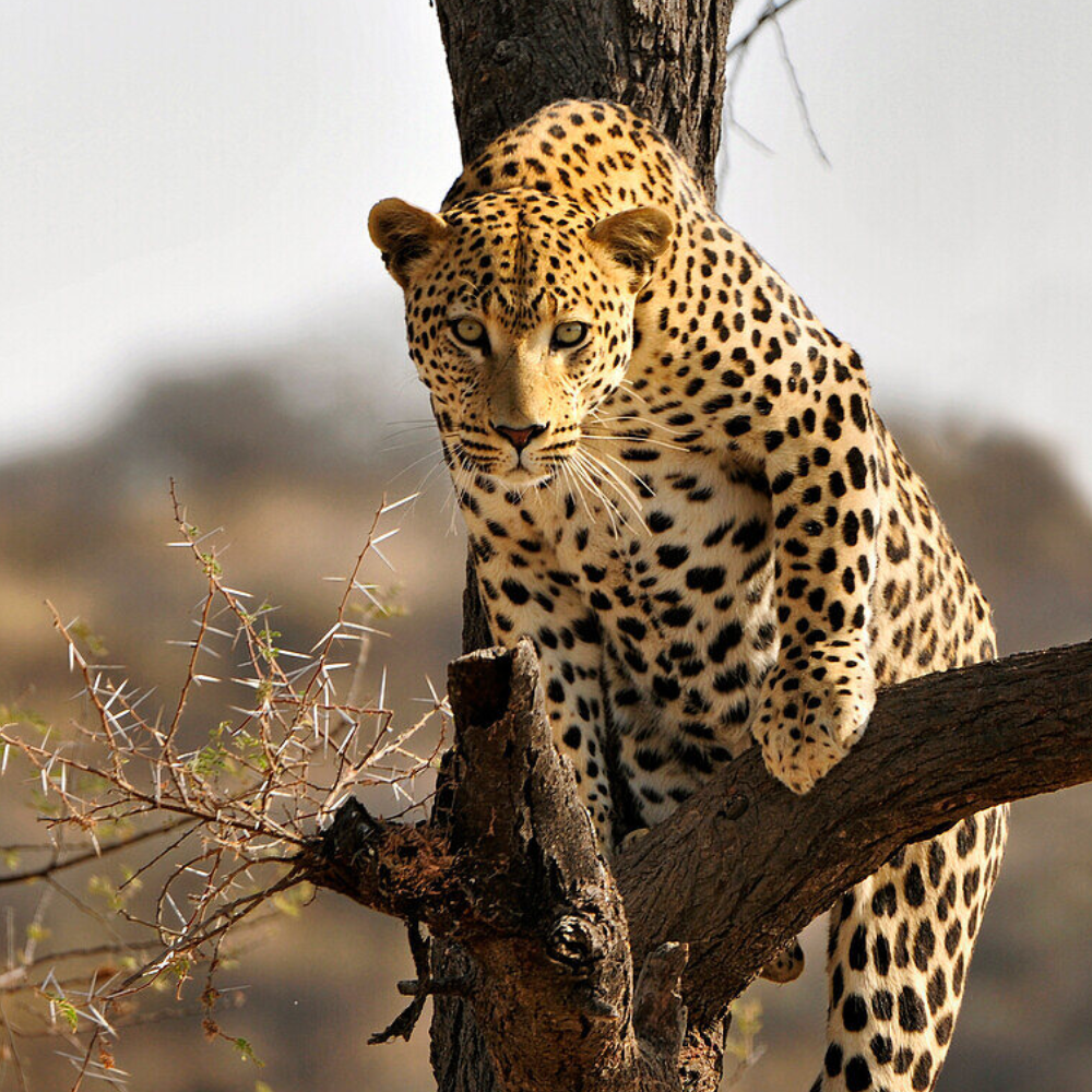 Namibia Destinations