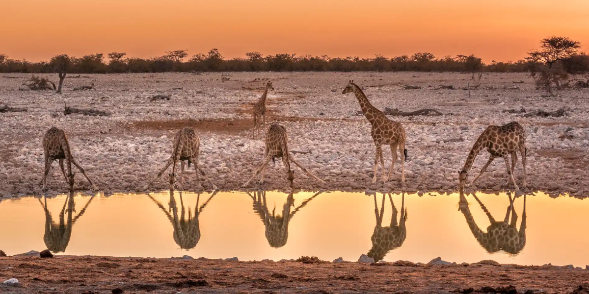 Best Time to visit Johannesburg