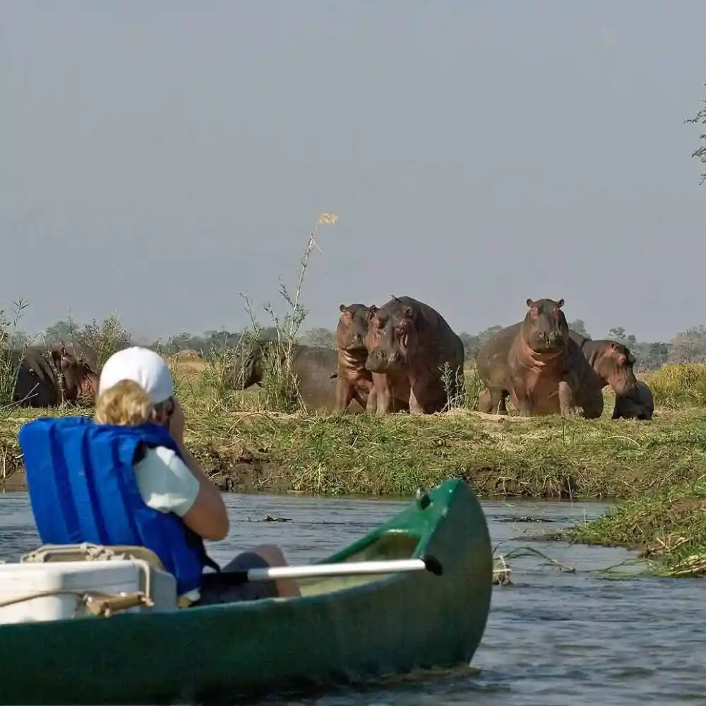 Full Day Canoeing