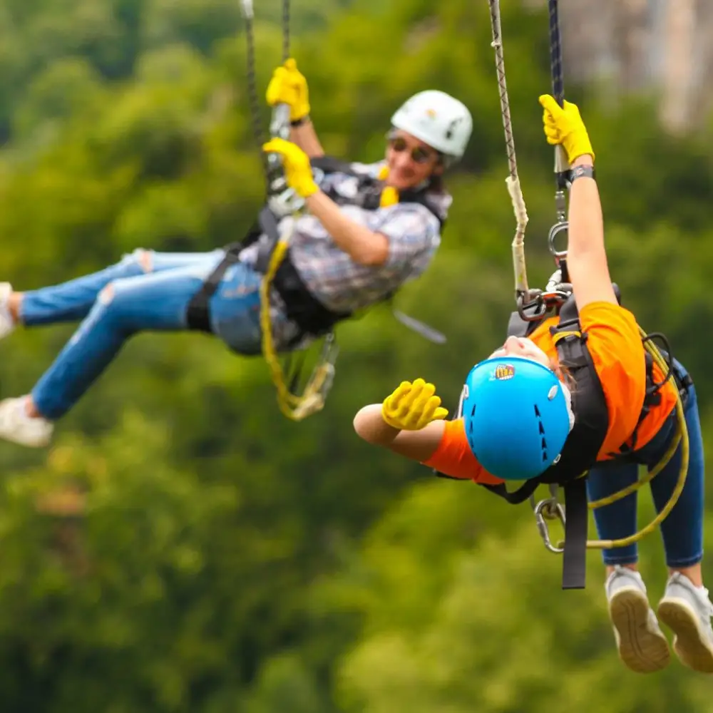 Gorge Swing
