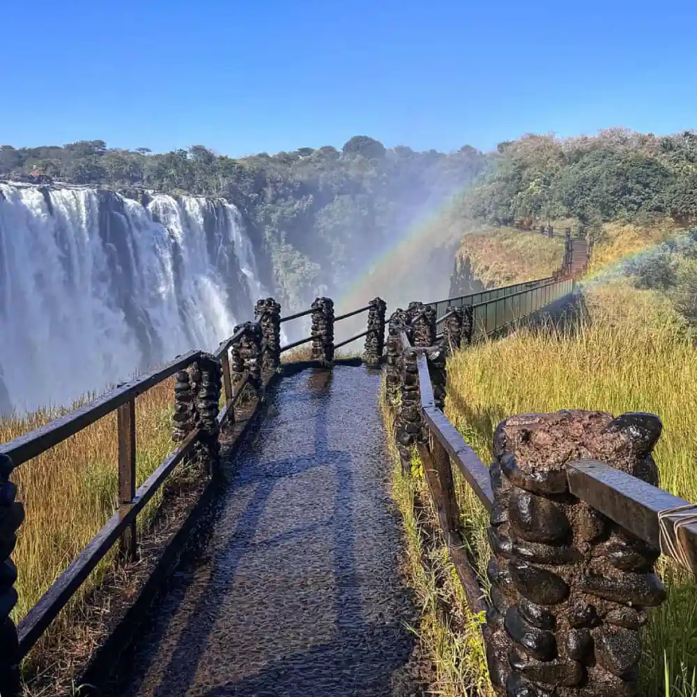 Guided Tour of Falls