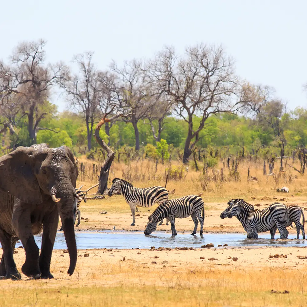 Zimbabwe Destinations