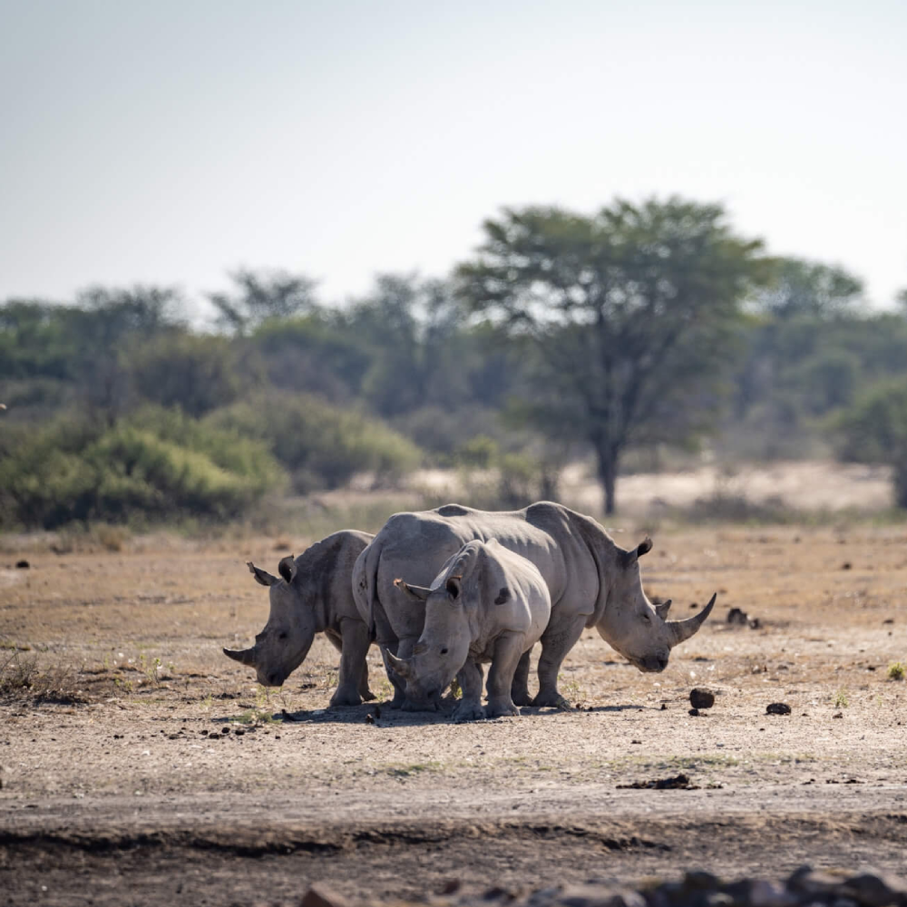 Botswana Destinations