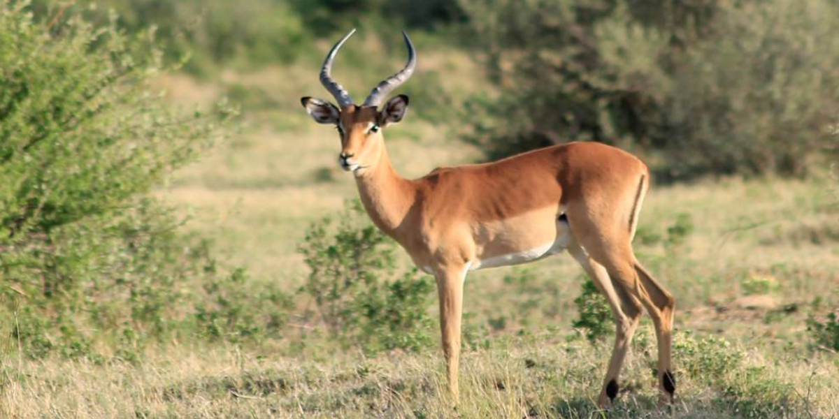 Best Time to visit Johannesburg