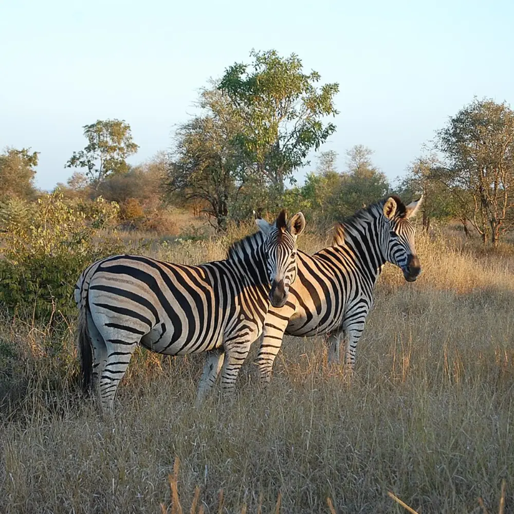 South Africa Destinations