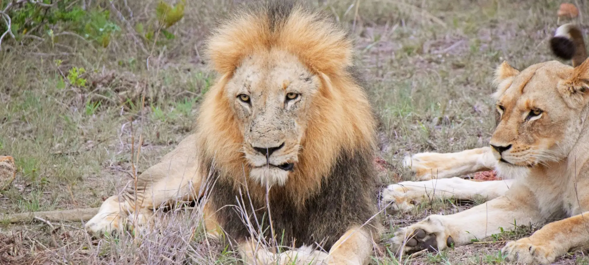 Kruger National Park