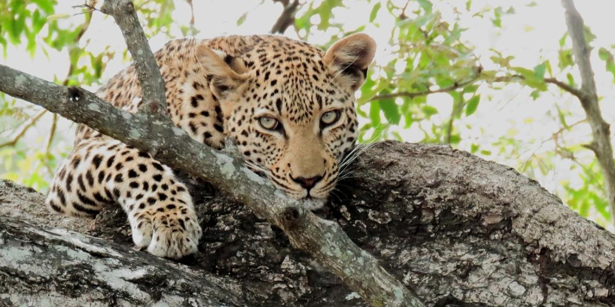 Best Time to visit Johannesburg