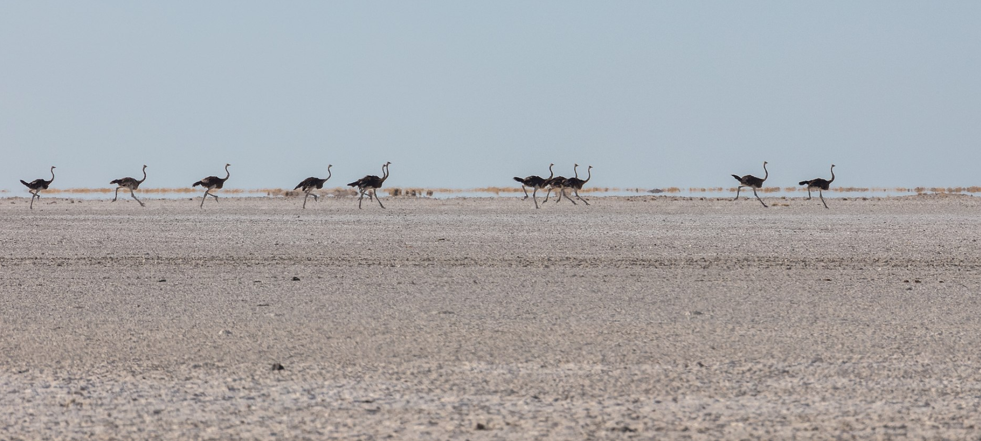 Makgadikgadi Salt Pans
