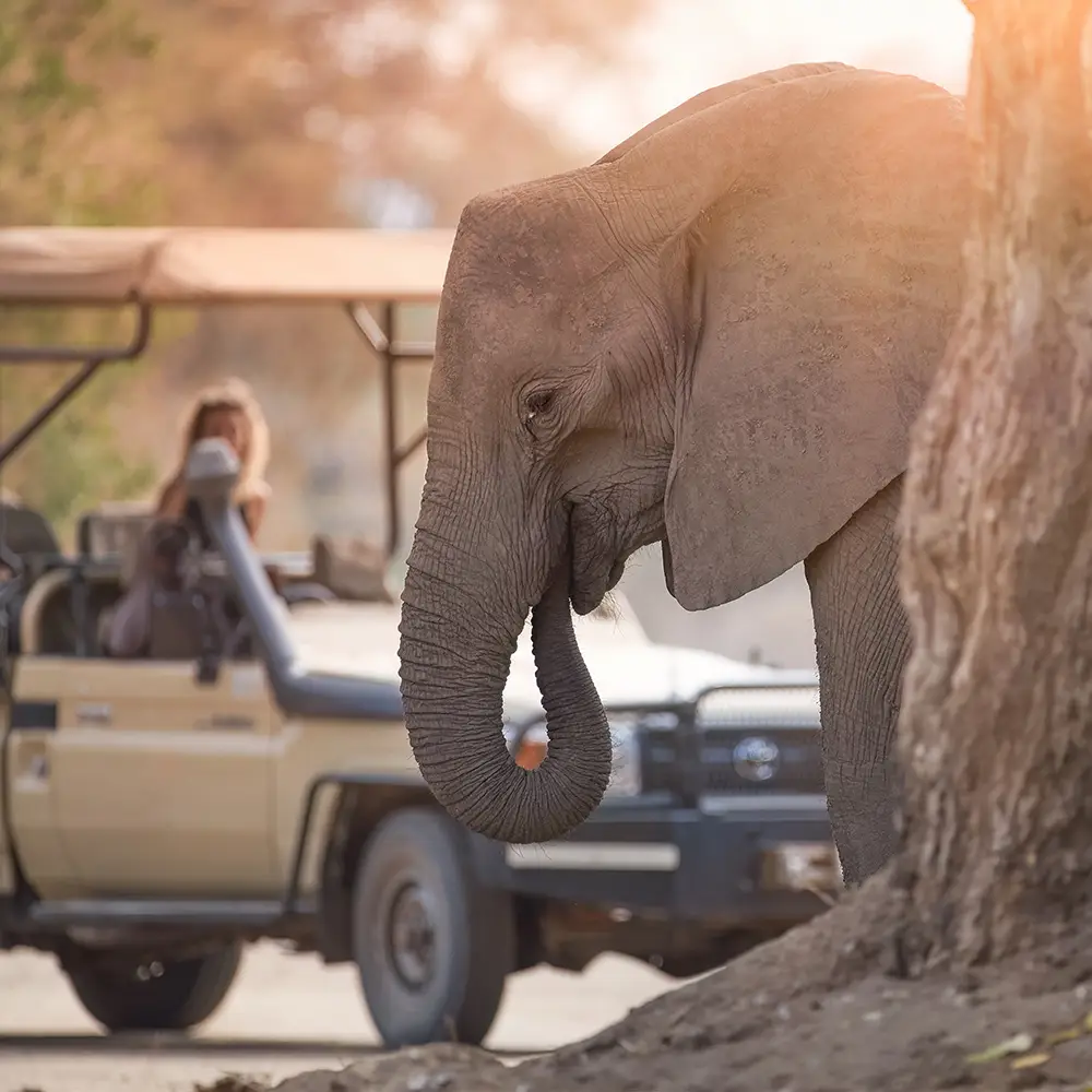 Zimbabwe Destinations
