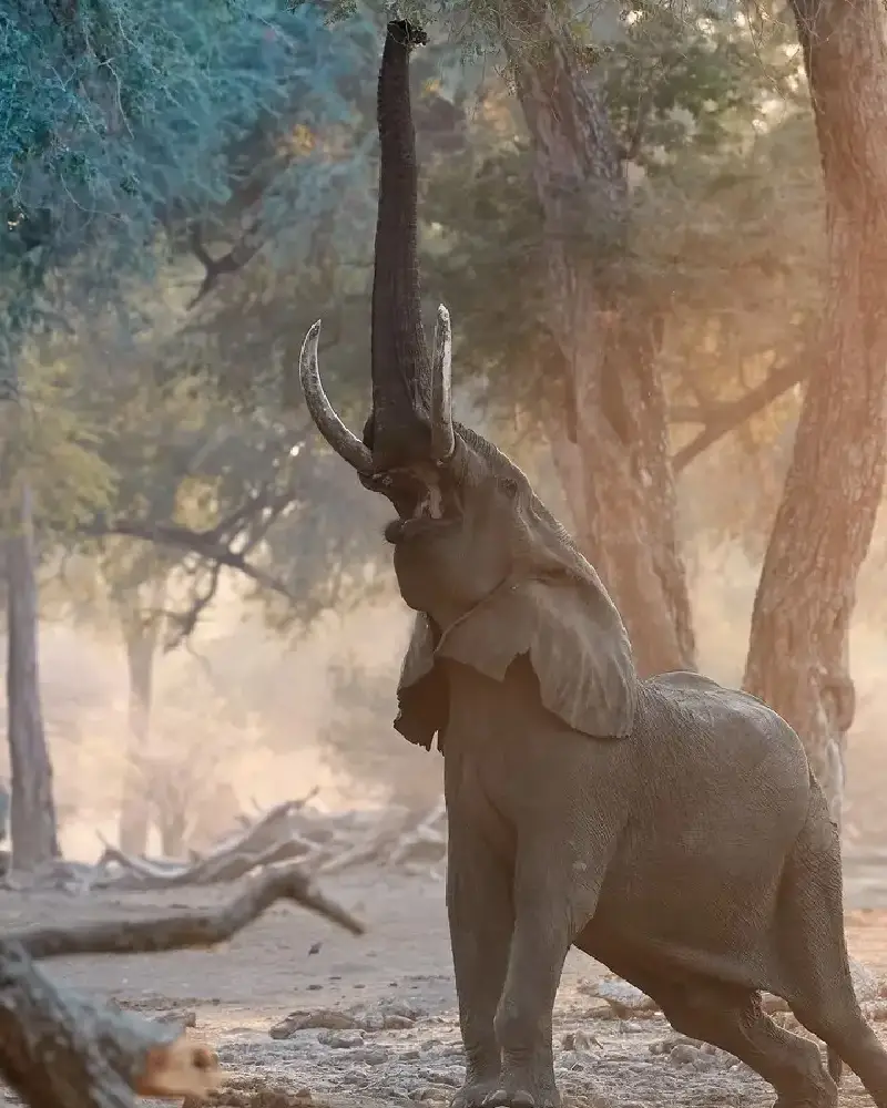 Manapools National Park