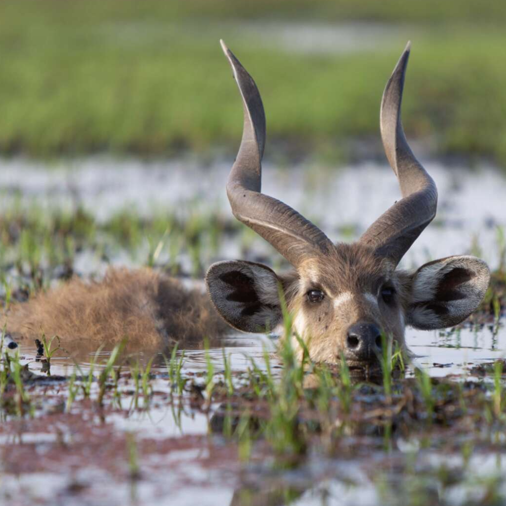 Botswana Destinations