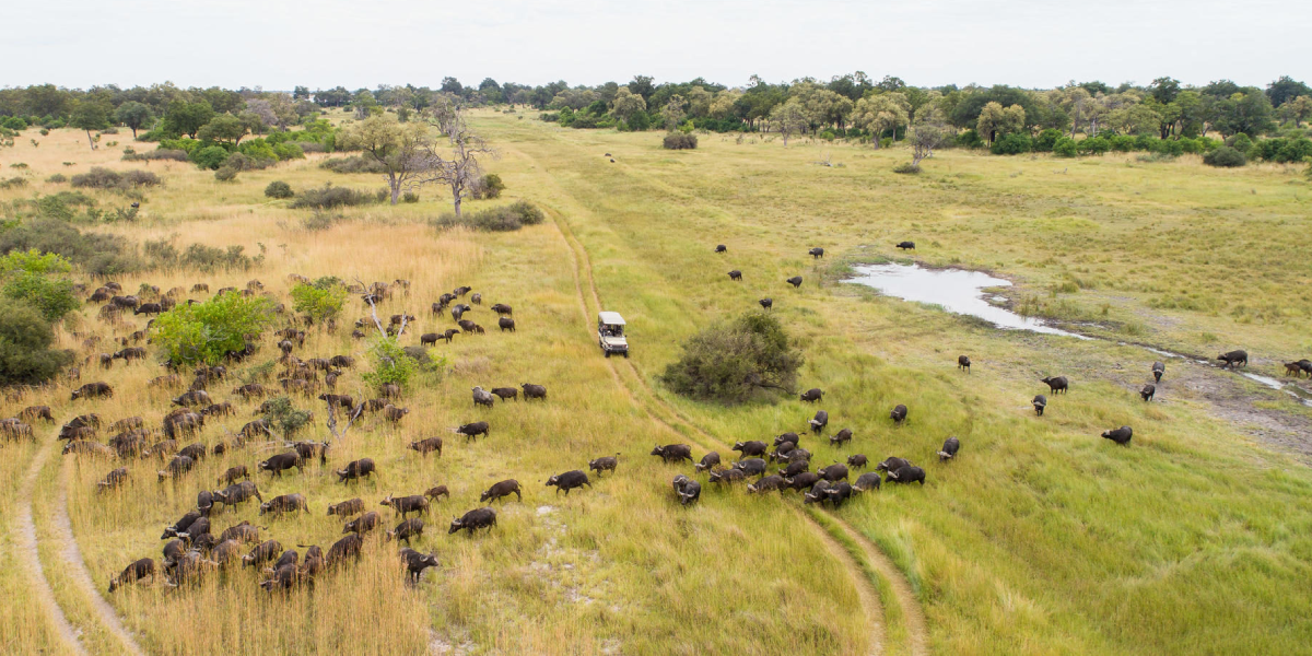 Best Time to visit Johannesburg