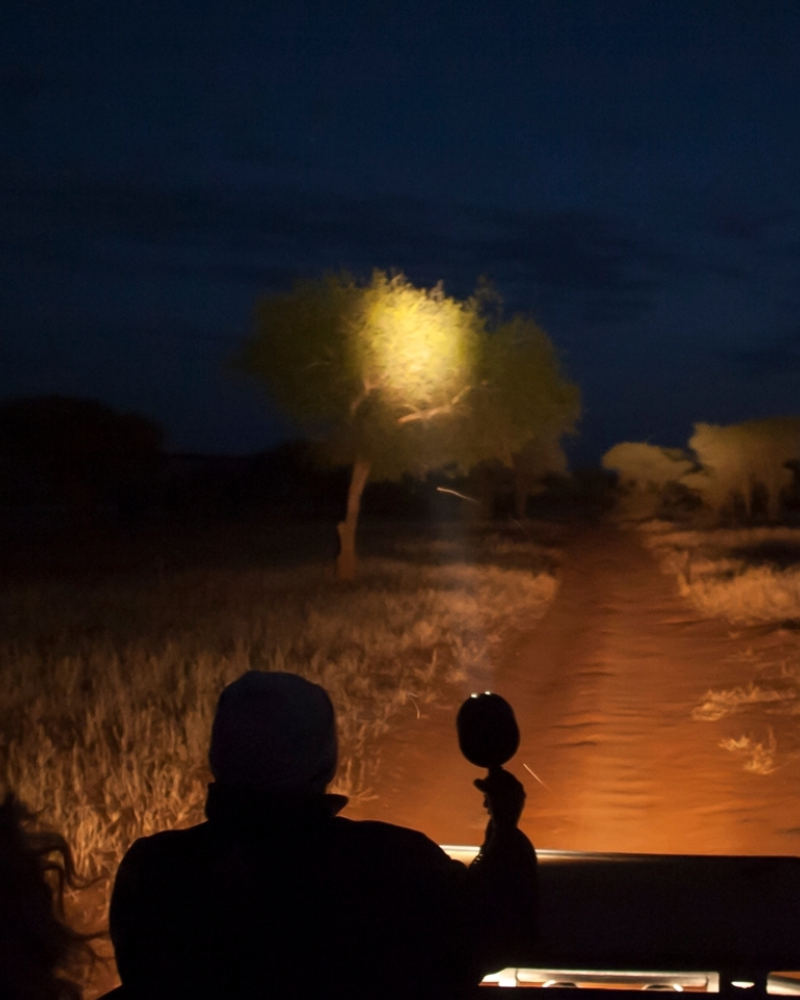 Africa