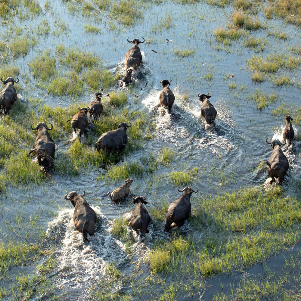 Botswana Destinations