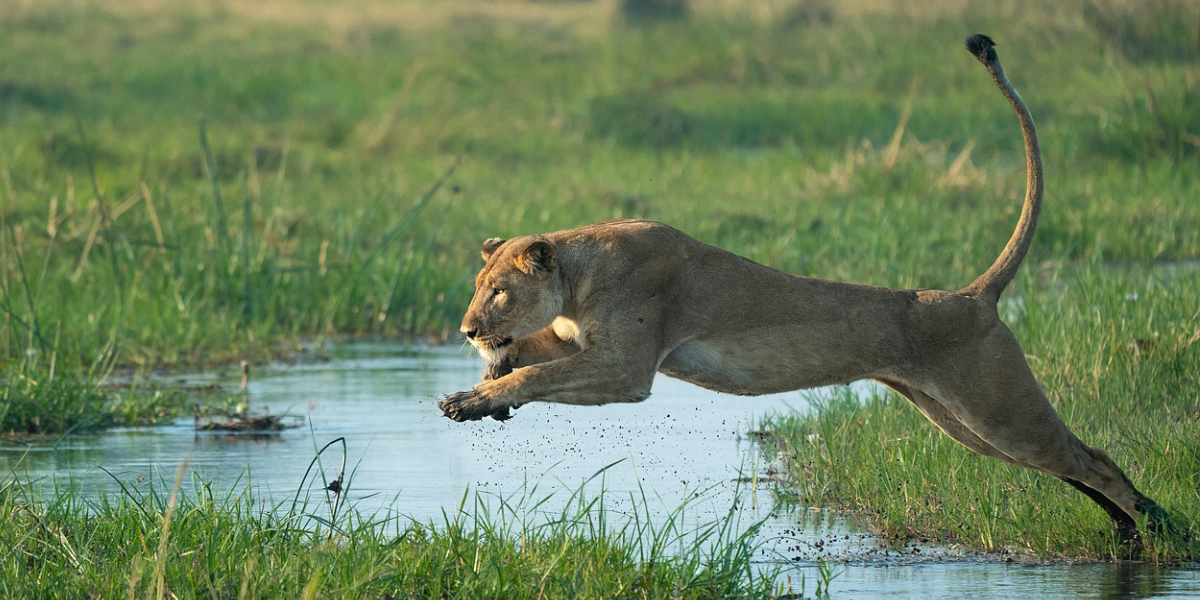 Best Time to visit Johannesburg