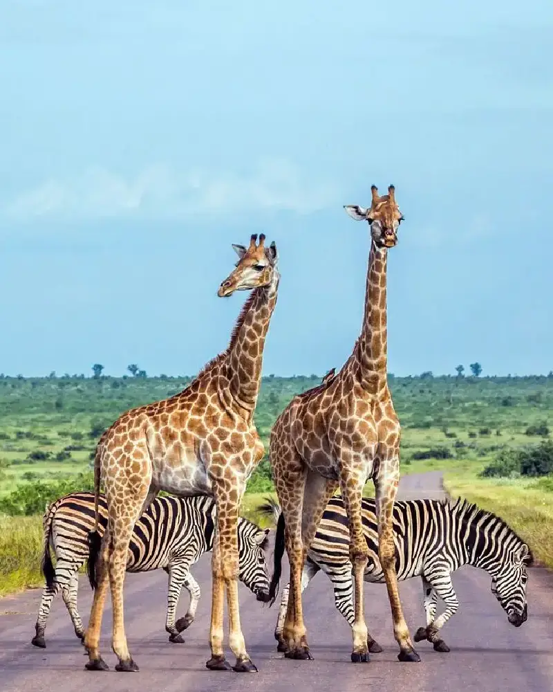 south-african-travel-guide