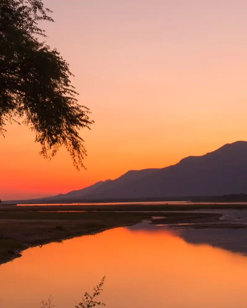 Africa