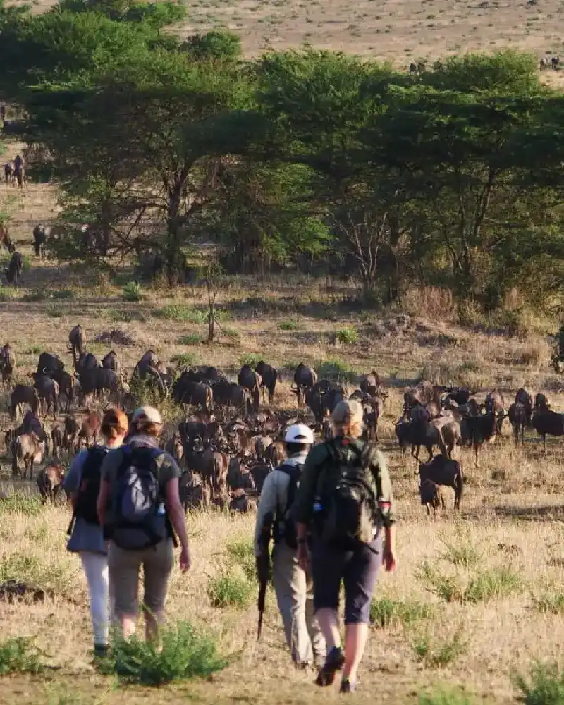 Africa