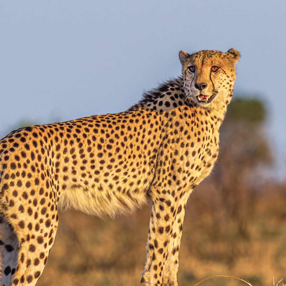 Namibia Destinations