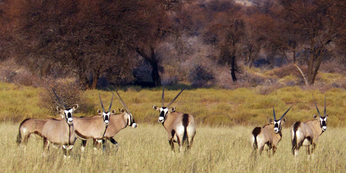Best Time to visit Johannesburg