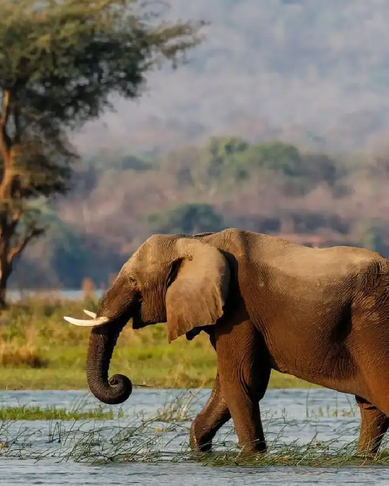 Zimbabwe Travel Guide